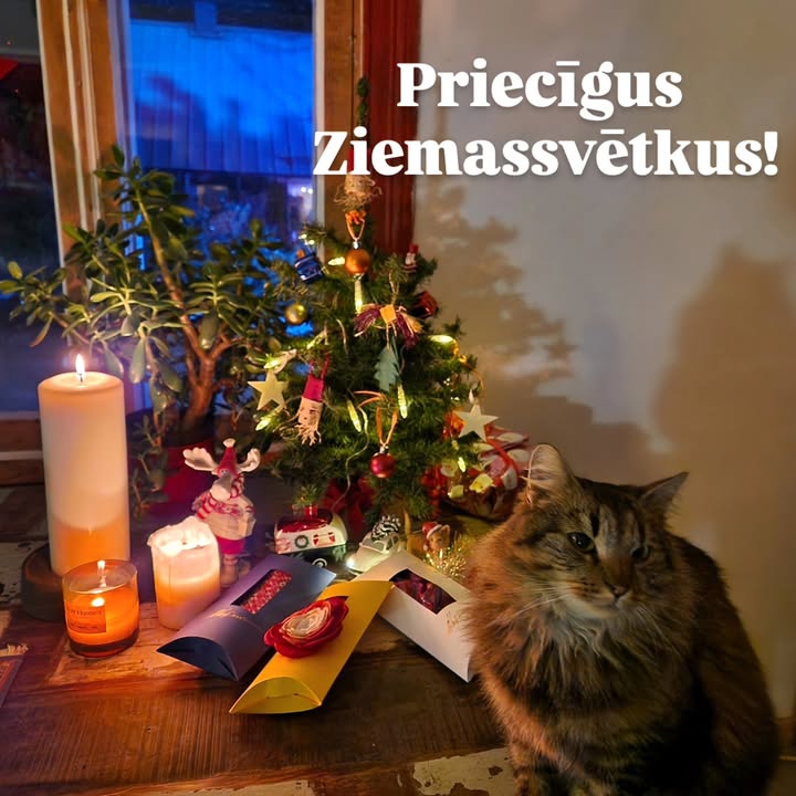 Agnese Vaļiniece Tekstils Dizains Mode